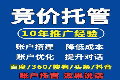 SEM竞价推广案例：打造行业领先的广告投放策略